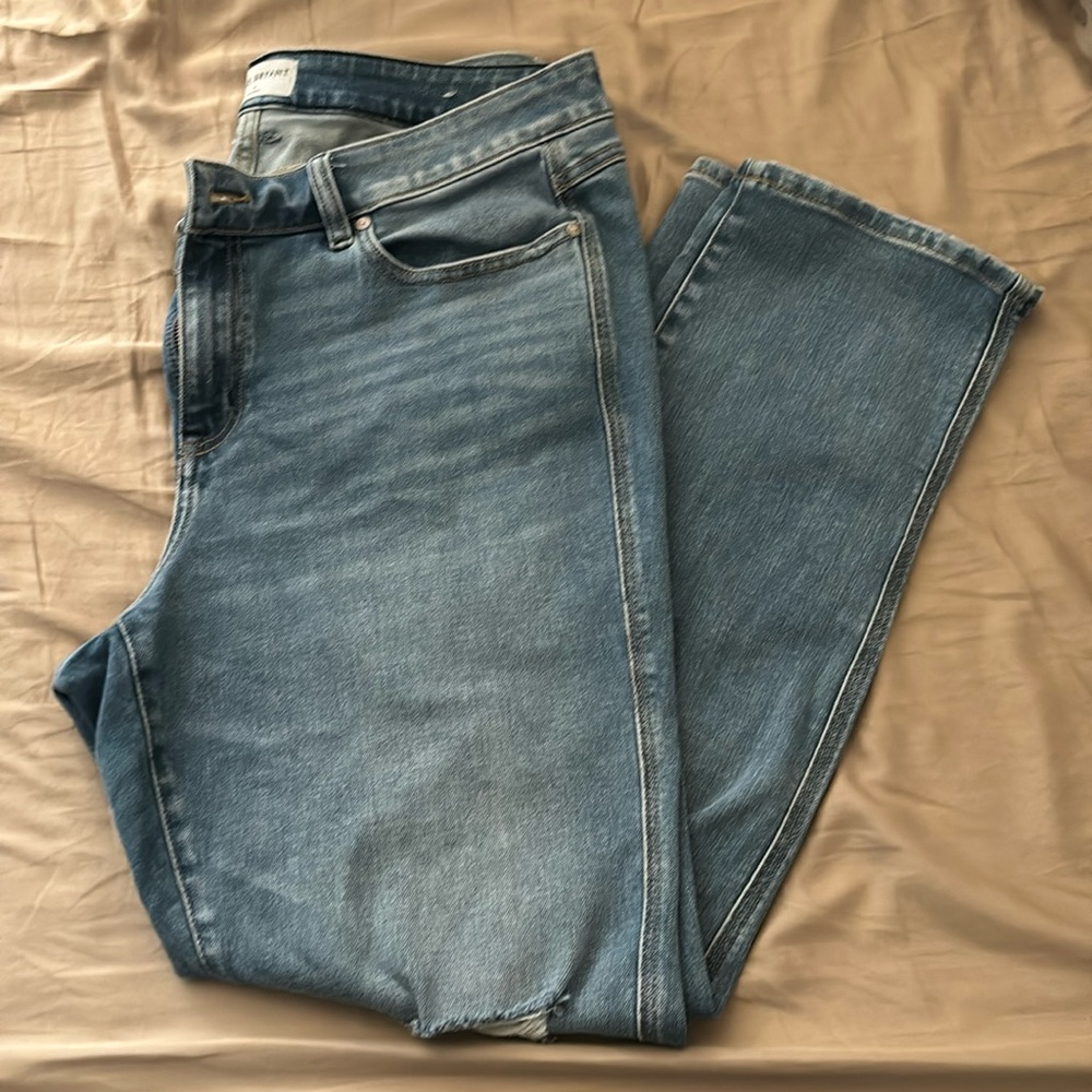 Lane Bryant jeans